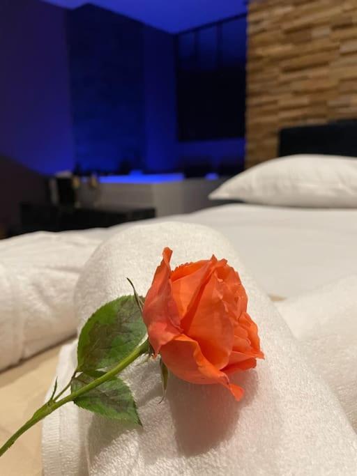 Le Cocon Des Granges - Suite Sauna Jaccuzi Spa Bonnieres-sur-Seine Екстериор снимка